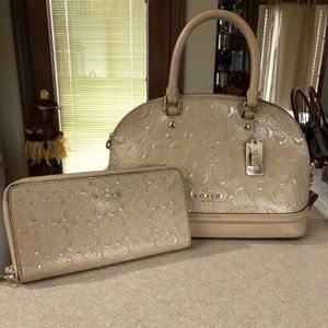 Coach Handbag & Wallet